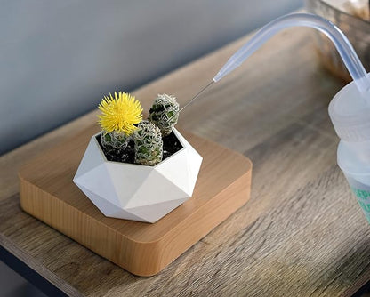 hBARSCI 2PK Houseplant Helper Plant Water Bottle, 16oz -Weekly Irrigation Scale Printed on Side - Plant Watering Devices, Succulent Watering Bottle, Indoor House Plant Waterer, Seed Tray Watering Can