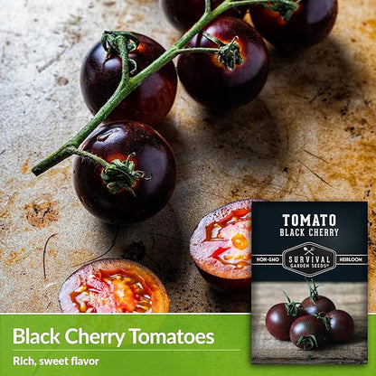 Black Cherry Tomato Seed for Planting - 2 Packets with Instructions to Plant & Grow Reddish-Purple Cherry Tomatoes in Your Home Vegetable Garden - Non-GMO Heirloom Variety - Survival Garden Seeds