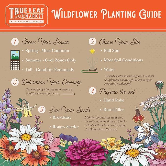 Wildflower Seeds - Rocky Mountain Mix, 2 oz (80,000+ Seeds) – 18 Non-GMO Varieties – Bulk Pollinator-Friendly Blend for Planting