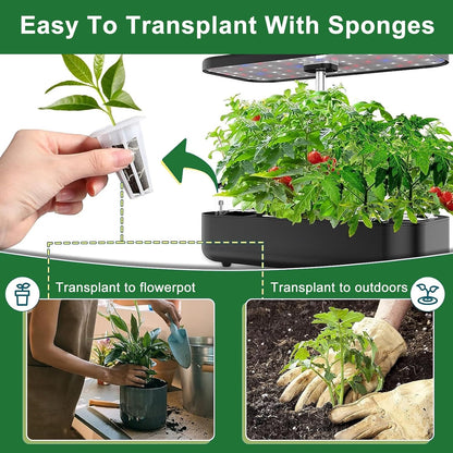 61 Pack Grow Sponges, Replacement Root Growth Sponges Seed Pods Compatible with AeroGarden, Compatible with Hydroponics Growing System Kit, Includes 10 Plant Labels and 1 Tweezers