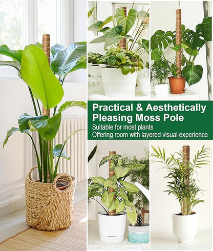 EAONE Moss Pole 126 Inch, 6 Pack 21" Monstera Plant Support for Climbing Potted Live Plants Indoor, Stackable Coco Coir Moss Sticks Monstera Stakes for Pothos Philodendron, with Garden Labels & Ties