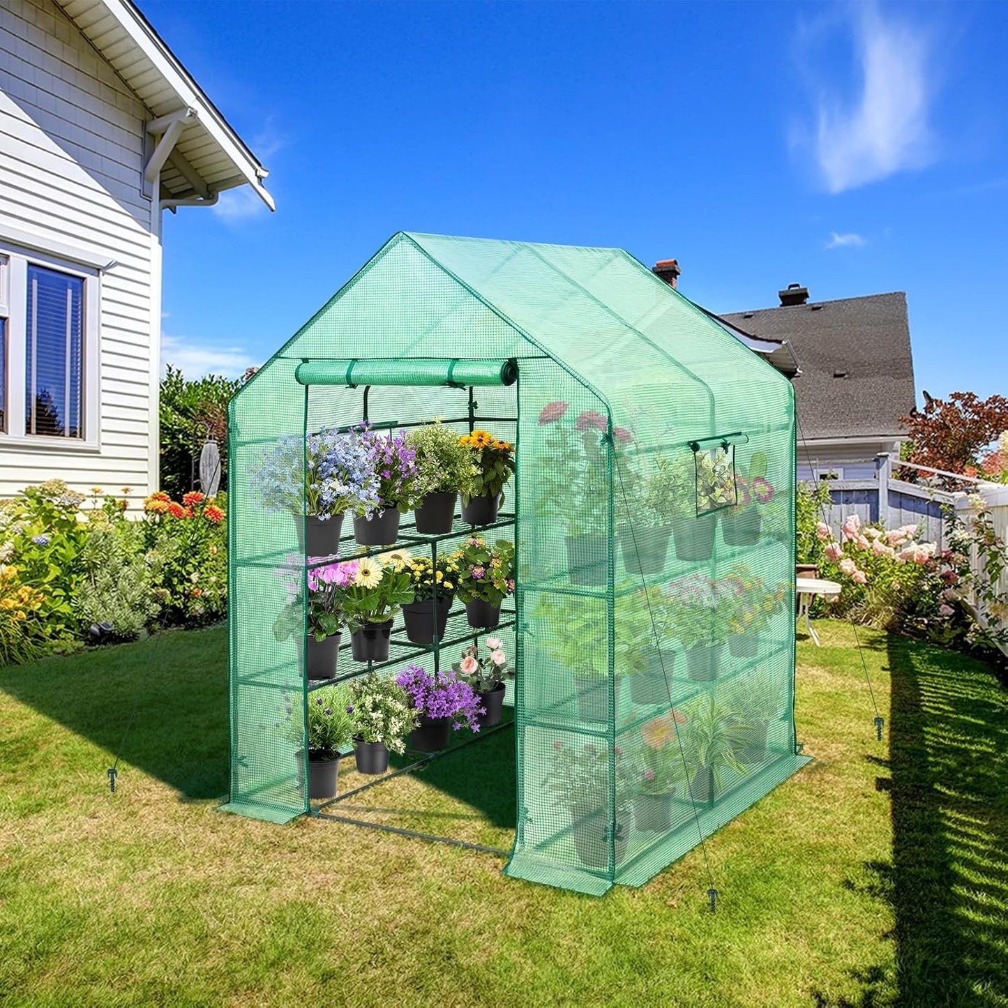 EAGLE PEAK Walk in 3-Tier Greenhouse with Wire Shelves, Portable Indoor and Outdoor Green House with Roll-Up Zippered Door & 2 Roll Up Windows, 8 Shelves, 56"x56"x77", Clear/Green PE Cover