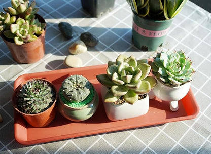 4 Pack of Plastic Plant Tray Saucer Rectangular 17 18 inch, Planter Trays Saucers for Indoors Outdoor, Plant Water Drip Tray for Flower Planter, Windowsill Trays (7.8 X 17.5'', Terracotta)