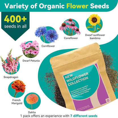 LYKOCLEAN Flower Seed Pods for Ahopegarden, iDOO MUFGA Hydroponics Growing System Indoor Gardening, 400+ Seeds, Dwarf Sunflower Bambino, French Marigold, Dahlia, Dwarf Petunia(18-Pods)