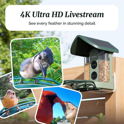 Beako™ Smart Bird Feeder with 4K Camera 4.4W Solar Roof for Outdoors - Ultra HD Live Stream & Photos, 10,000+ Bird Species AI-Identified, Real-Time Motion Detection, Easy Setup, Refill & Clean