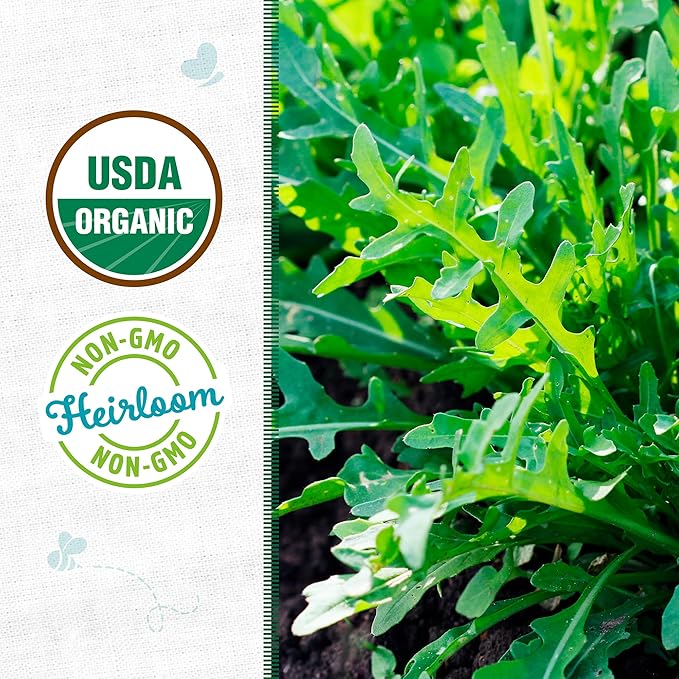 Back to The Roots 100% Organic Heirloom Seeds - Arugula 'Eruca Vesicaria' Value Pack (2.4g Total)