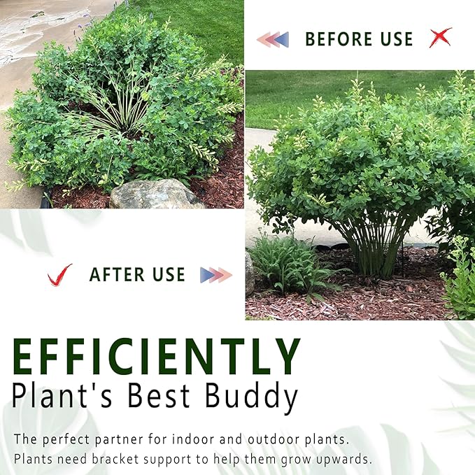 6 Pack Plant Support Stakes, Metal Monstera Plant Support Stakes for Indoor Plants, Large Garden Plant Support Ring, Tomato Cage, Tall Plant Holder Sticks (10" W X 15.8" H)