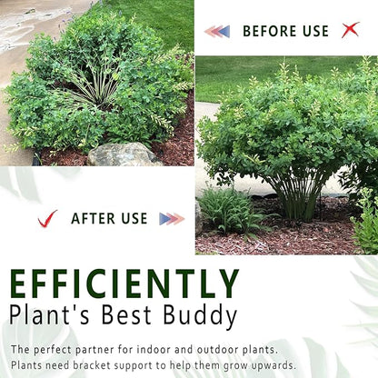 6 Pack Plant Support Stakes, Metal Monstera Plant Support Stakes for Indoor Plants, Large Garden Plant Support Ring, Tomato Cage, Tall Plant Holder Sticks (10" W X 15.8" H)