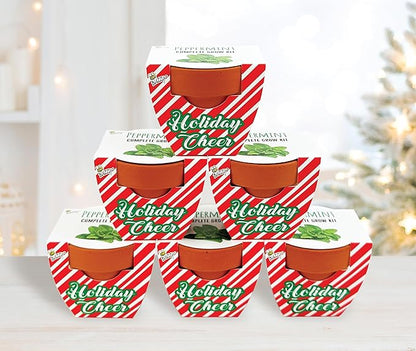 BUZZY Seeds Holiday Candy Cane Mini Terracotta Grow Pots, 6-Pack Peppermint Seeds, Indoor Plant Starter Kit, Stocking Stuffers, Party Favors Adults, for Kids