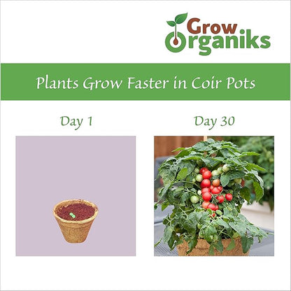 (4 Inch, 12 Pack Coco Coir Plant Pots, Biodegradable Peat Pots for Seed Starter & Seedling Kit, Small Plant Pots Germination, Mini Planter Cups for Indoor, Outdoor, Organic Planting