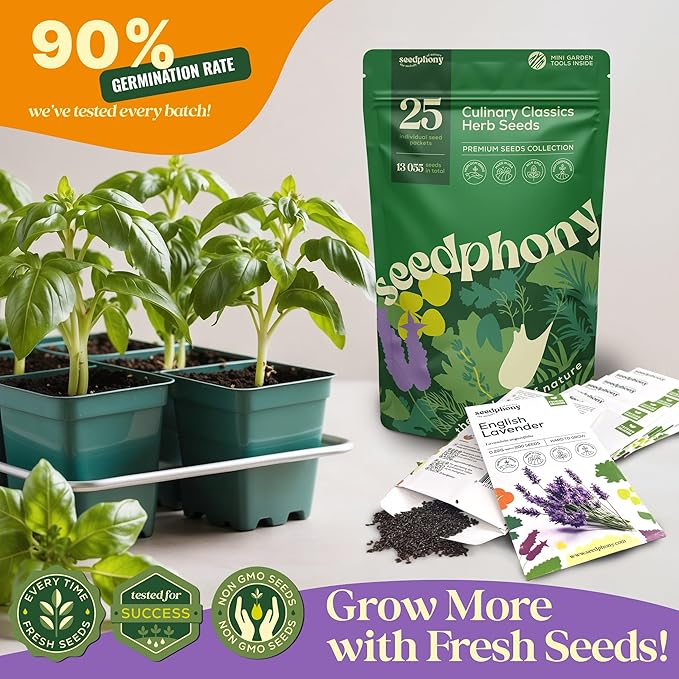 25 Culinary Herb Seeds Variety Pack - 13,055+ Non-GMO Heirloom Herbs Seeds for Planting Indoor & Outdoor: Rosemary, Basil, Catnip, Cilantro, Dill, Parsley, Oregano, Thyme, Mint, Tarragon, Lavender