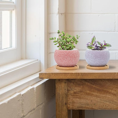3 inch Ceramic pots for Plants, Small Succulent Pots Set with Drainage, 6 Pack Flower Pot for Indoor Plant, Planters for Little or mini Cactus 2 inches Plants (Pink/Purple)
