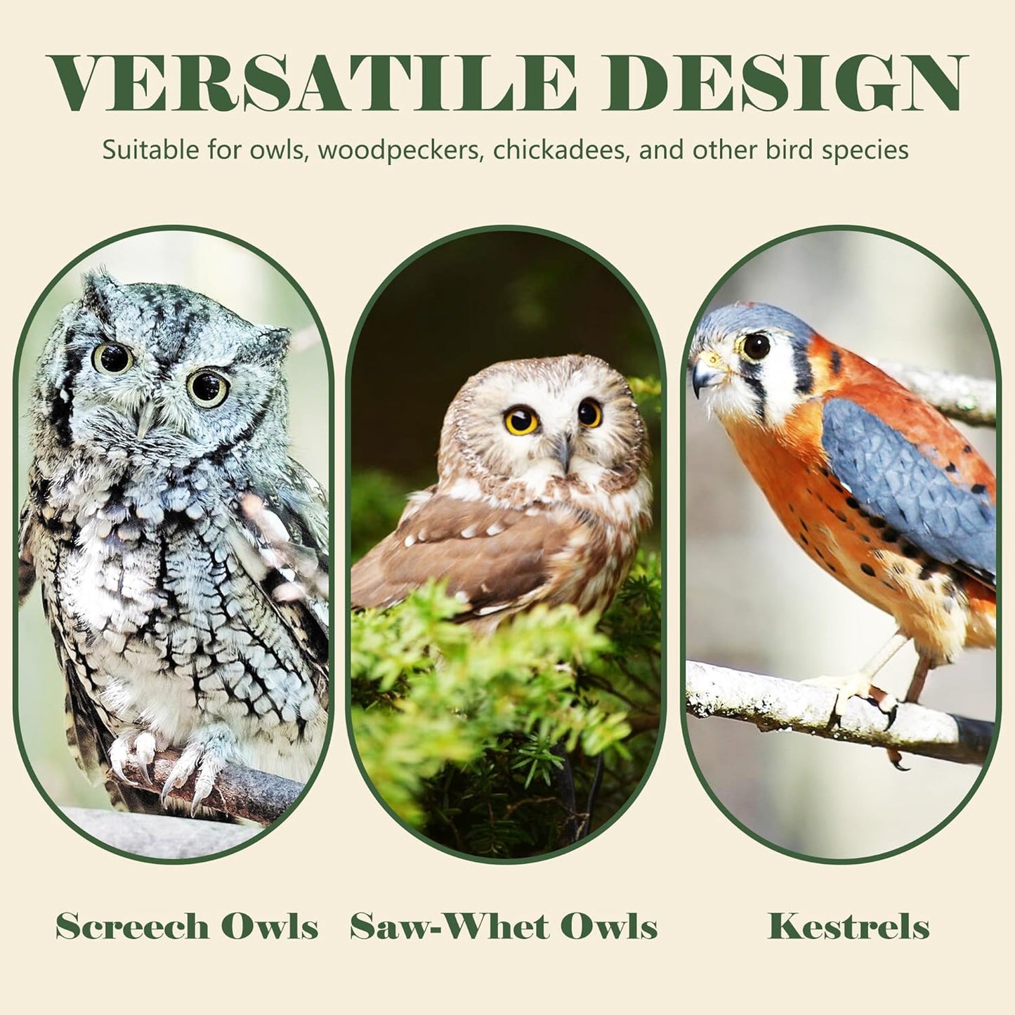 Prolee Owl House 14 x 10 Inch with Bird Stand Design, Owl Box 100% Cedar Wood with Mounting Screws and A Bag of Wood Shavings, Owl Houses for Outdoors Easy Assembly Required