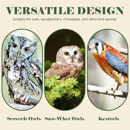 Prolee Owl House 14 x 10 Inch with Bird Stand Design, Owl Box 100% Cedar Wood with Mounting Screws and A Bag of Wood Shavings, Owl Houses for Outdoors Easy Assembly Required