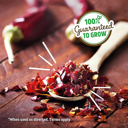 Back to the Roots Non-GMO Chili Planter, Grow Organic Chili Peppers Year Round, Windowsill Grow Kit, Top Gardening Gift, Holiday Gift, & Unique Gift