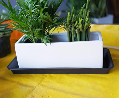 6 Pack Plastic Plant Tray Saucer Rectangular, Heavy Duty Planter Saucers for Indoors, Plant Water Drip Trays for Flower Pot Planter, Windowsill Pot Tray, Seed Starting Growing Trays