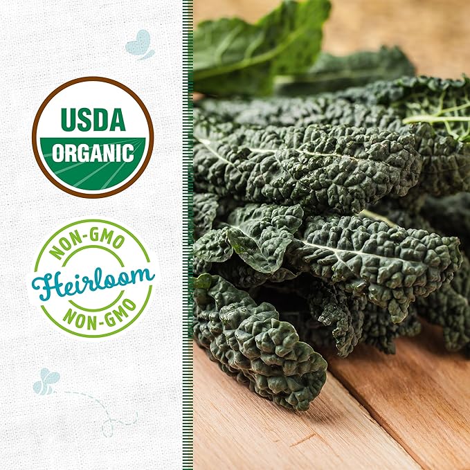 Back to The Roots 100% Organic Heirloom Seeds - Tuscan Kale Value Pack (560mg Total)