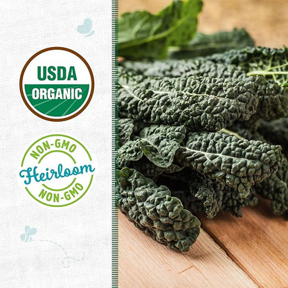 Back to The Roots 100% Organic Heirloom Seeds - Tuscan Kale Value Pack (560mg Total)
