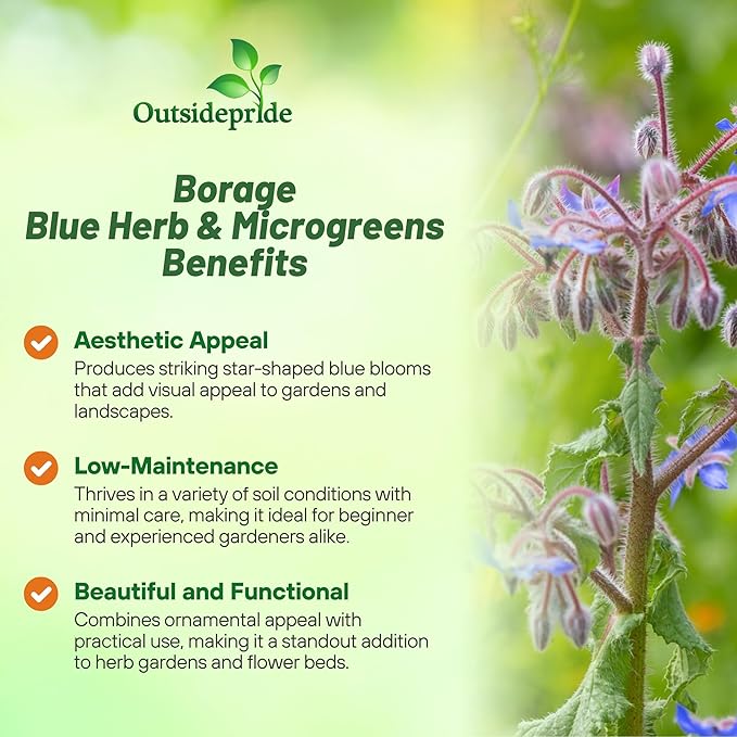 Outsidepride Blue Borage Seeds for Planting – 1 oz. Annual, Drought-Tolerant Herb Seeds with Star-Shaped Blooms, Attracts Bees for Pollinator Gardens, Summer Teas, Decoration & Culinary Use
