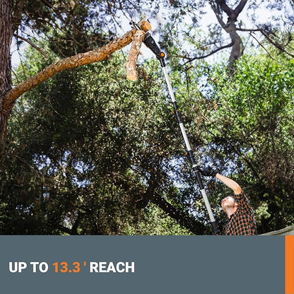 Worx Nitro 20V 8 '' cordless pole chainsaw 2.0 Ah battery and charger included WG349