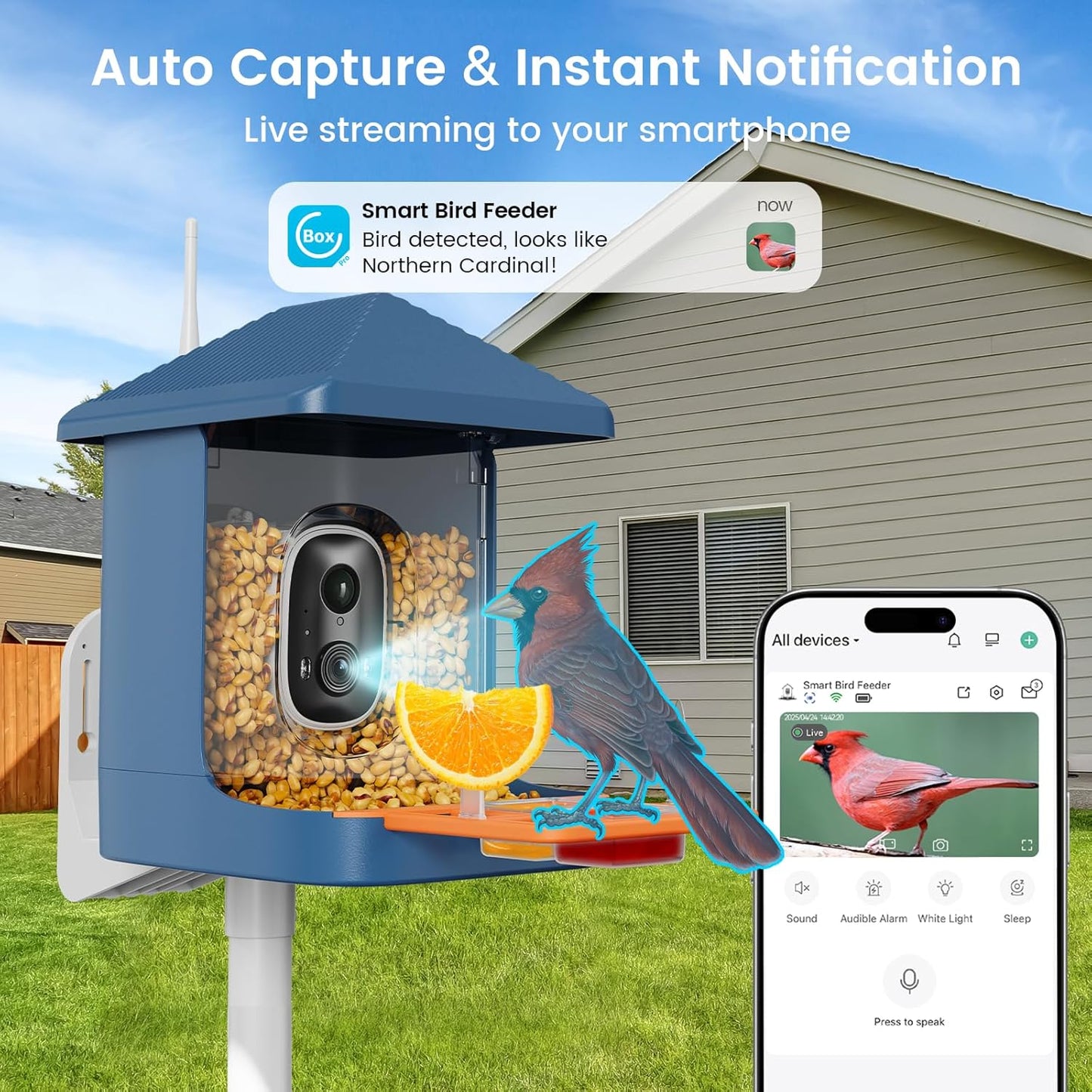 Smart Bird Feeder with Camera, Solar Powered Bird Feeders for Outdoors, 1.8L 2K AI Identify 10,000+ Birds Species, Birds Feeder Camera IP65 Instant Notification, Ideal Gift for Avian Lovers
