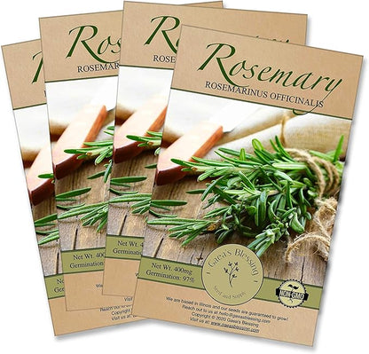 Gaea's Blessing Seeds - Rosemary Seeds - Heirloom Non-GMO Seeds with Easy to Follow Instructions 97% Germination Rate (Pack of 4)