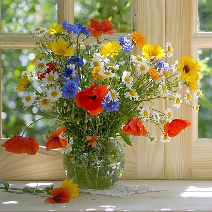 Back to The Roots 100% Organic Heirloom Seeds - Wildflower Mix Value Pack (500mg Total)