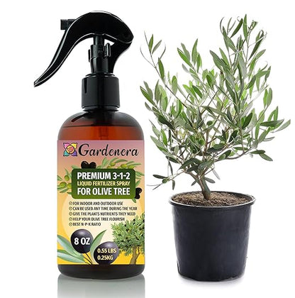 Gardenera Professional Olive Tree Spray Fertilizer Mist for Home Gardening | 3-1-2 Gentle Blend Mist for Healthy Leaves & Growth | Essential Nutrients for Olive Trees - 8oz