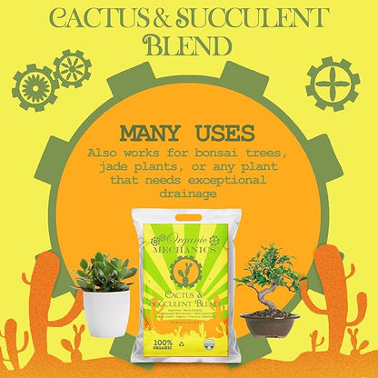 Organic Mechanics Cactus and Succulent Blend Potting Soil, 8 qt – Well-Drained Organic Mix that Enhances Plant and Root Growth with Biochar, Rice Hulls, and Worm Castings - Peat-Free & Eco-Friendly