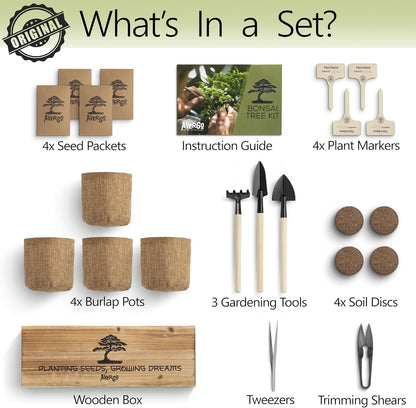 Avergo Bonsai Tree Kit – 4X Unique Japanese Bonzai Trees | Complete Indoor Starter Kit for Growing Bonsai Plants with Tools & Planters – Gardening Gifts for Women & Men