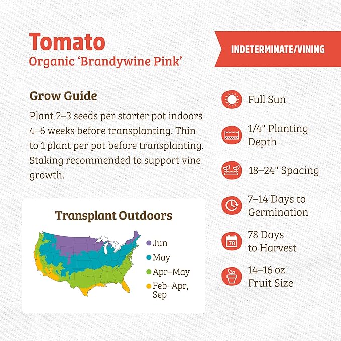 Back to The Roots 100% Organic Heirloom Seeds - Brandywine Tomato Value Pack (200mg Total)