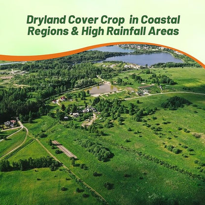 Outsidepride Creeping Red Fescue Grass Seed - 10 Lbs. Cool Season, Soft Textured, Self-Repairing Fine Fescue Grass Seeds for Lawn w/OptiGrowth Coating, Ideal for Dryland Cover Crop & Landscaping