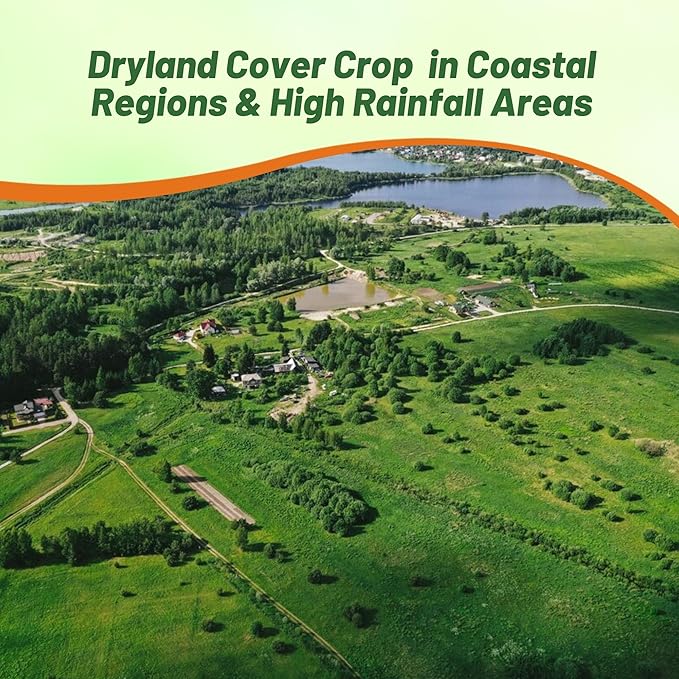 Outsidepride Creeping Red Fescue Grass Seed - 50 Lbs. Cool Season, Soft Textured, Self-Repairing Fine Fescue Grass Seeds for Lawn w/OptiGrowth Coating, Ideal for Dryland Cover Crop & Landscaping