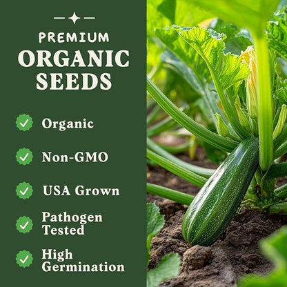 Seedboy Organic Zucchini Seeds for Planting Indoor and Outdoor, Non-GMO and USDA Certified Vegetable Seed Packet for Hydroponic Garden Indoor or Planting Outdoors (Black Beauty Zucchini)