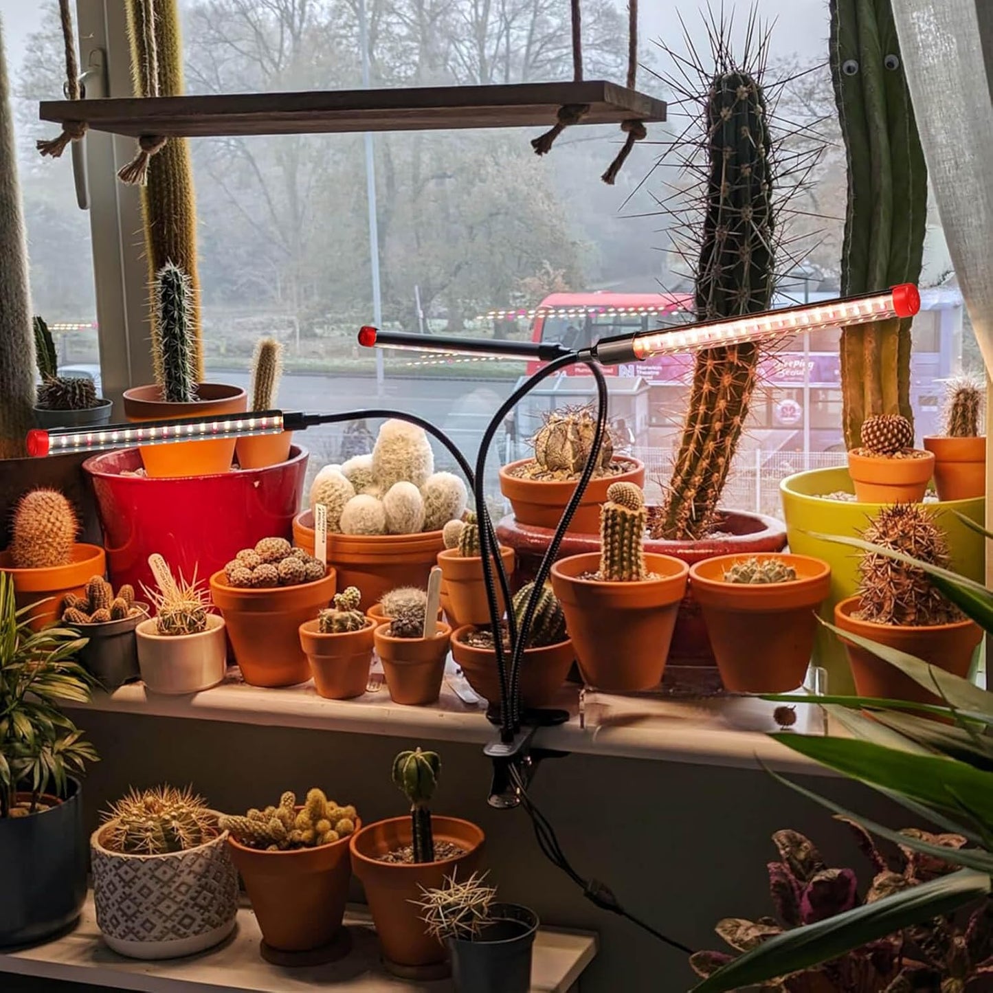 2Pack Clip Grow Lights for Seed Starting with Timer, Full Spectrum Brightest Plant Growing Lamps for Indoor Plants, Bonsai, Seedlings, 27 Watt Home Plug But Not 10W Adapter