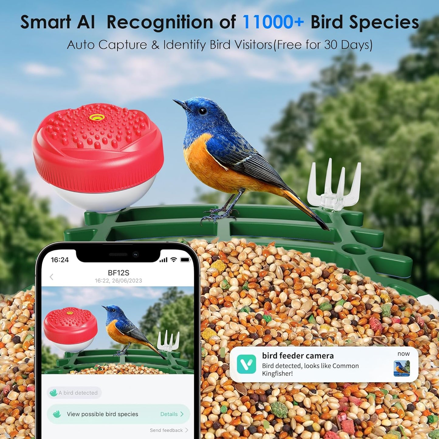 Smart Bird Feeder with 2.5K HD Camera – AI Bird Species Recognition, Solar-Powered, Live Alerts & Video Capture, Squirrel-Proof Outdoor Birdhouse, Gift for Nature Lovers