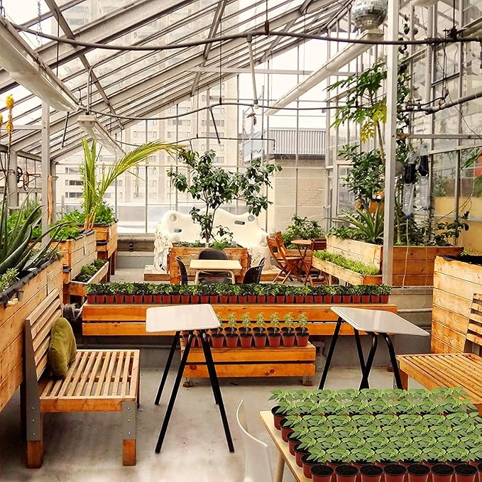 MIXC Plant Nursery Pots with Humidity Dome 4" Soft Transparent Plastic Gardening Pot Planting Containers Cups Planter Small Starter Seed Starting Trays for Seedling with 10pcs Plant Labels，30 Sets