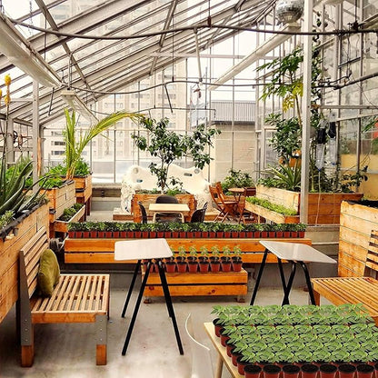 MIXC Plant Nursery Pots with Humidity Dome 4" Soft Transparent Plastic Gardening Pot Planting Containers Cups Planter Small Starter Seed Starting Trays for Seedling with 10pcs Plant Labels，30 Sets