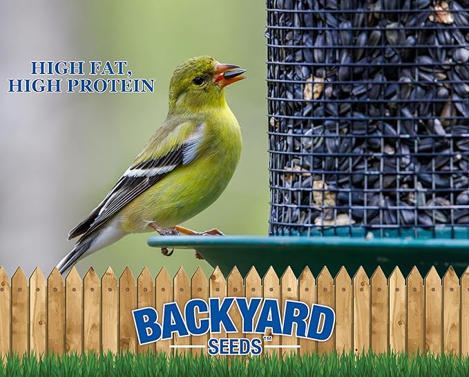 CountryMax Backyard Seeds Black Oil Sunflower Seeds for Wild Birds – 25 lb Bag – High-Energy Food for Cardinals, Jays, Woodpeckers – Backyard Feeder Favorite