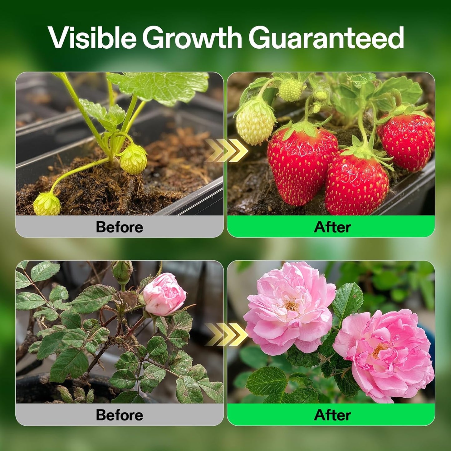 VIVOSUN Liquid Nutrients Base A & B Bundle, Grow Big Hydroponic Fertilizer, Supports Vegetative and Flowering Stages for Outdoor, Indoor Plants, Best Plant Food, Set of 8oz