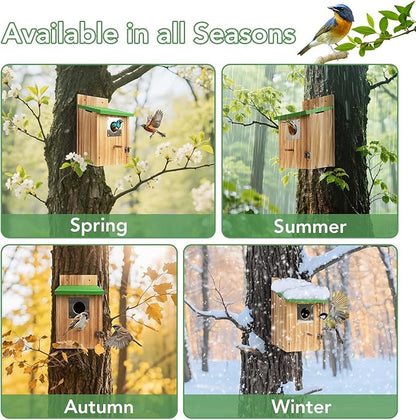 2 Pack Bird Houses for Outside - Cedar Bluebird Houses with Metal Predator Guard, Birdhouse for Wren Bluebirds Finches Swallows, Carbonized Wooden