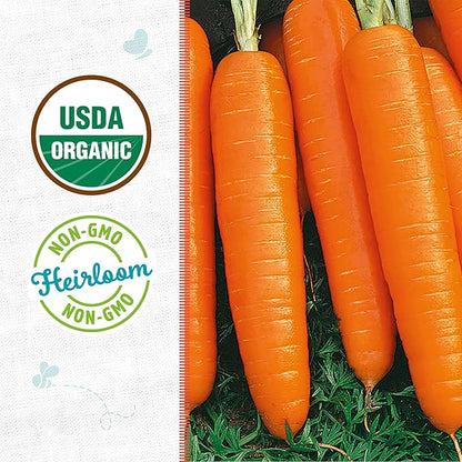 Back to The Roots 100% Organic Heirloom Seeds - Carrot Value Pack (840mg Total)