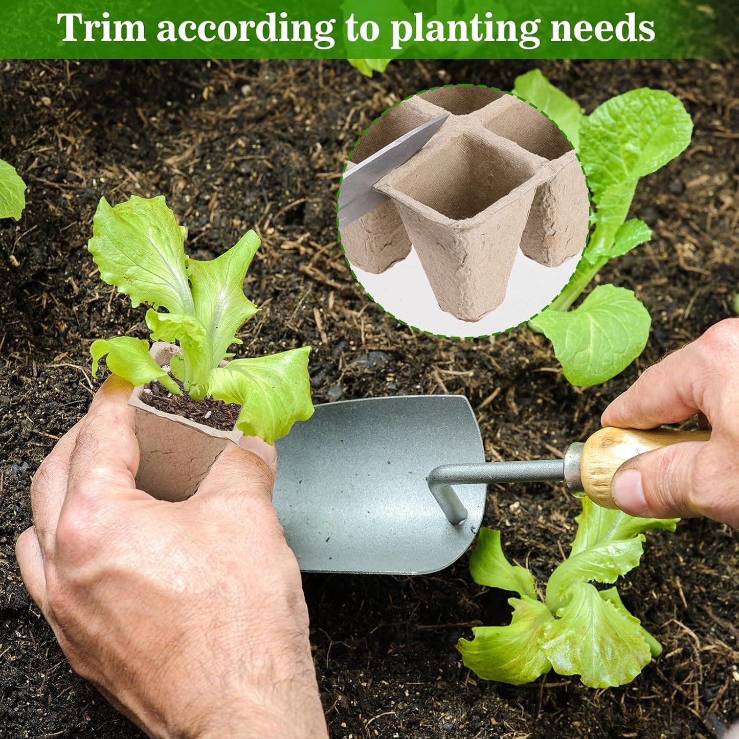 10 Packs Seedling Starter Trays 120 Cells, Biodegradable Seed Germination Trays Plant Starter Peat Pots for Seedlings