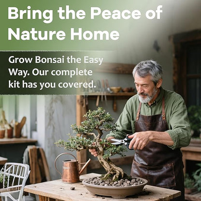 Bonsai Tree Kit for Beginners - Unique DIY Japanese Bonsai Trees,Crafts for Adults, Ideal Gardening Birthday Gift for Women & Men,Complete Indoor Plant Kit