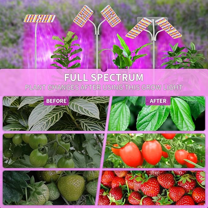 KINGPLUS Grow Lights with Base, Double Head, Full Spectrum LED Grow Light for Indoor Plants, 240 Leds, 4 Dimmable Levels, Timer 4/8/12h, 12-60inches Height Adjustable, 36w, Ideal for Desk Small Plants