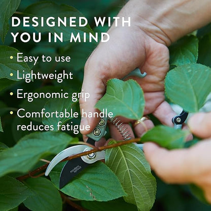 Modern Sprout Hand Pruners - Lightweight Pruning Shears W/Easy Lock- Gardening Scissors - Bypass Sharp Carbon Steel Blade - Rust Resistant - Garden Tools - Reusable Holster - Sage