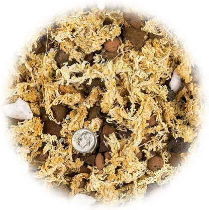 Premium Phalaenopsis Imperial Orchid Potting Mix - Hand Mixed in Small Batches | Great for Phalaenopsis of All Kinds - by GARDENERA - 1 Quart Bag