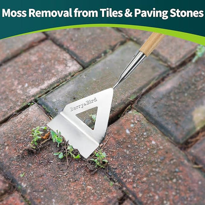 Berry&Bird Dutch Hoe, Stainless Steel Head with Wooden Handle Weeder, Women Heavy Duty Garden Tool for Weeding and Cultivating