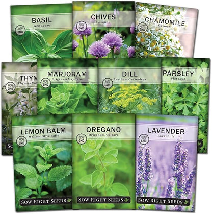 Sow Right Seeds - Large Herb Garden Seed Collection for Planting - Basil, Chives, Parsley, Lavender, Oregano, Dill, Lemon Balm, Chamomile & Thyme - Non GMO Heirloom - Plant Outdoors or Indoors