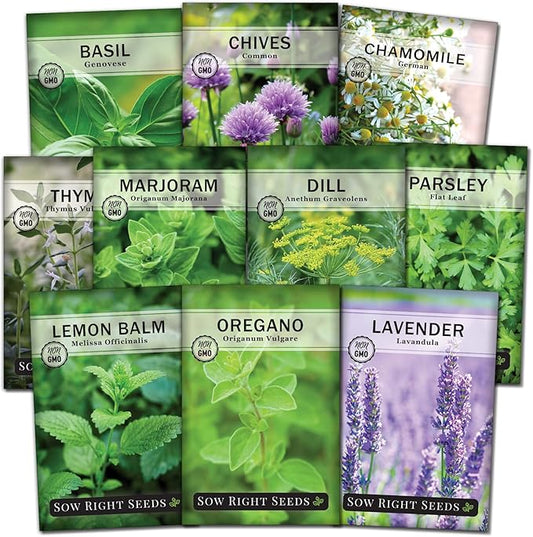Sow Right Seeds - Large Herb Garden Seed Collection for Planting - Basil, Chives, Parsley, Lavender, Oregano, Dill, Lemon Balm, Chamomile & Thyme - Non GMO Heirloom - Plant Outdoors or Indoors